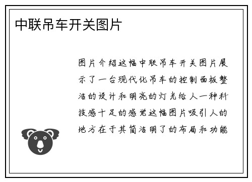 中联吊车开关图片