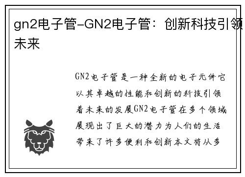gn2电子管-GN2电子管：创新科技引领未来