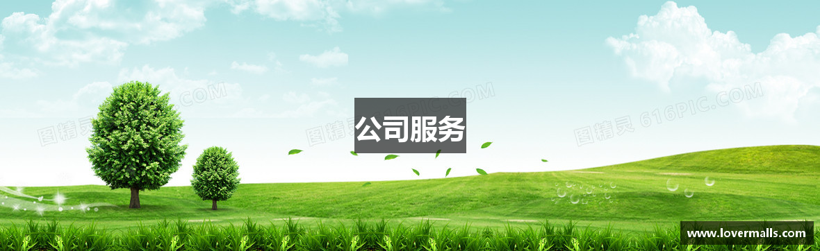 公司服务