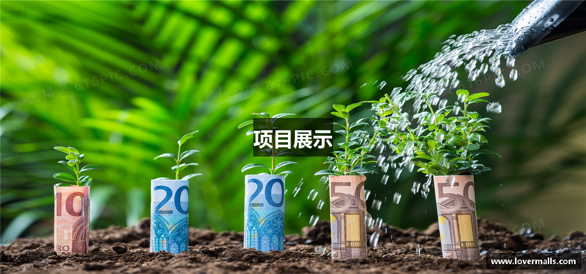 项目展示